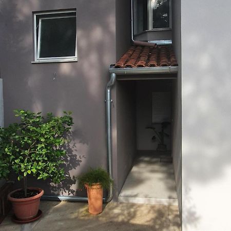Apartman Tika 普拉 外观 照片